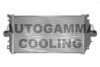 AUTOGAMMA 102019 Intercooler, charger